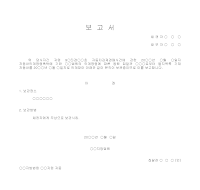 자동차인수보고서 자동차인수보고서